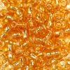 Perla za kašu, prozirna, sa srebrnom postavom, 4 mm - zlatna