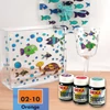 Deka Transparent solventna boja za staklo 25 ml - 10 narančasta