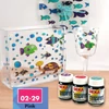 Deka Transparent solventna boja za staklo 25 ml - 29 roza