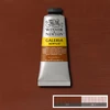 Winsor&Newton Galeria akrilna boja, 60 ml - 077, burnt sienna opaque