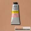 Slika 1/2 - Winsor&Newton Galeria akrilna boja, 60 ml - 257, pale rose blush