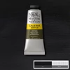 Slika 1/2 - Winsor&Newton Galeria akrilna boja, 60 ml - 331, ivory black
