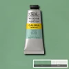 Slika 1/2 - Winsor&Newton Galeria akrilna boja, 60 ml - 435, pale olive