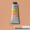 Slika 1/2 - Winsor&Newton Galeria akrilna boja, 60 ml - 437, pale terracotta