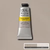 Slika 1/2 - Winsor&Newton Galeria akrilna boja, 60 ml - 438, pale umber