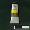 Slika 1/2 - Winsor&Newton Galeria akrilna boja, 60 ml - 447, olive green