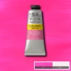 Slika 1/2 - Winsor&Newton Galeria akrilna boja, 60 ml - 448, opera rose