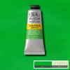 Slika 1/2 - Winsor&Newton Galeria akrilna boja, 60 ml - 483, permanent green light