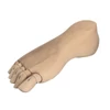 Model lutke, stopalo - 24 cm, desno