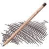 Slika 1/2 - Caran d'Ache Luminance 6901 olovka u boji - 046, cassel earth
