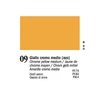 Ferrario Van Dyck uljana boja, 20 ml - 09, chrome yellow middle