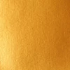 Slika 2/4 - Liquitex Basics akrilna boja, 118 ml - 051, gold