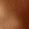 Slika 2/4 - Liquitex Basics akrilna boja, 118 ml - 054, bronze
