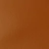 Slika 2/4 - Liquitex Basics akrilna boja, 118 ml - 330, raw sienna