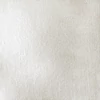 Slika 4/4 - Liquitex Heavy Body akrilna boja, 59 ml - 238, iridescent white