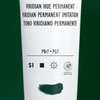 Slika 2/4 - Liquitex Heavy Body akrilna boja, 59 ml - 398, viridian hue permanent