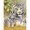 Set za bojanje s brojevima, akrilna boja+kist, 22x30 cm - Tigar