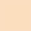 Promarker Brush dvostrani alkoholni kist filc - O729, blush