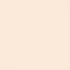 Promarker Brush dvostrani alkoholni kist filc - O819, almond