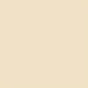Promarker Brush dvostrani alkoholni kist filc - Y217, champagne