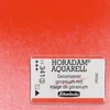 Slika 1/2 - Schmincke Horadam akvarel boja, 1/1 svilenkasta - 41, geranium red