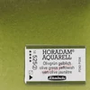 Schmincke Horadam akvarel boja, 1/1 svilenkasta - 25, olive green yellowish