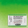 Slika 1/2 - Schmincke Horadam akvarel boja, 1/1 svilenkasta - 26, permanent green