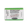 Schmincke Horadam akvarel boja, 1/1 svilenkasta - 26, permanent green