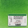 Schmincke Horadam akvarel boja, 1/1 svilenkasta - 30, sap green
