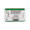 Schmincke Horadam akvarel boja, 1/1 svilenkasta - 30, sap green