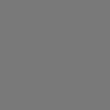 Slika 2/6 - Talens Rembrandt uljana boja, 40 ml - 717, cold grey