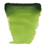 Slika 2/2 - Talens Van Gogh svilenkasta akvarel boja, 1/2 svile- 623, sap green