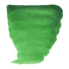 Slika 2/2 - Talens Van Gogh svilenkasta akvarel boja, 1/2 svile- 662, permanent green