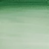 Slika 2/2 - Winsor&Newton Cotman akvarel boja u tubi,  ml - 312, hooker's green  dark