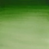 Winsor&Newton Cotman akvarel boja u tubi,  ml - 314, hooker's green light