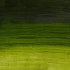 Slika 2/3 - Winsor&Newton Artisan vodena uljana boja, 37 ml - 503, permanent sap green