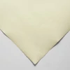 Slika 1/2 - Hahnemühle Ingres papir, 100 g, 48x62,5 cm - 251 bijeli