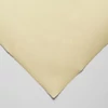 Slika 1/2 - Hahnemühle Ingres papir, 100 g, 48x62,5 cm - 252 slonovača
