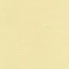 Slika 2/2 - Hahnemühle Ingres papir, 100 g, 48x62,5 cm - 253 antikni