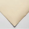 Slika 1/2 - Hahnemühle Ingres papir, 100 g, 48x62,5 cm - 255 ružičasto roza