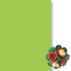 Slika 1/3 - Toner papir, 50x70 cm - 51, svibanj zelena