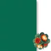 Slika 1/3 - Toner papir, 50x70 cm - 56, bor zelena
