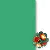 Slika 1/3 - Toner papir, 50x70 cm - 57, list zeleni