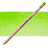 Slika 1/2 - Bruynzeel Design pastelna olovka - 60, light green