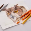 Bruynzeel Fineliner Brush pen dvostrani set flomastera - 72 kom, metalna kutija