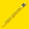 Caran d'Ache Neocolor II akvarel kreda - 010, yellow