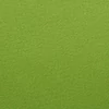 Slika 2/4 - Fabriano Tiziano obojeni papir za crtanje, A4 - 43, pistacchio
