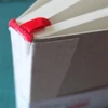 Hahnemühle DiaryFlex zamjenjivi uložak za bilježnicu, 100 g, 10,4x18,2 cm, točkasta mreža