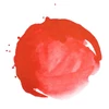 Liquitex akrilna tinta, 30 ml - 294, naphthol red light