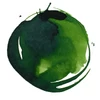 Liquitex akrilna tinta, 30 ml - 315, sap green permanent